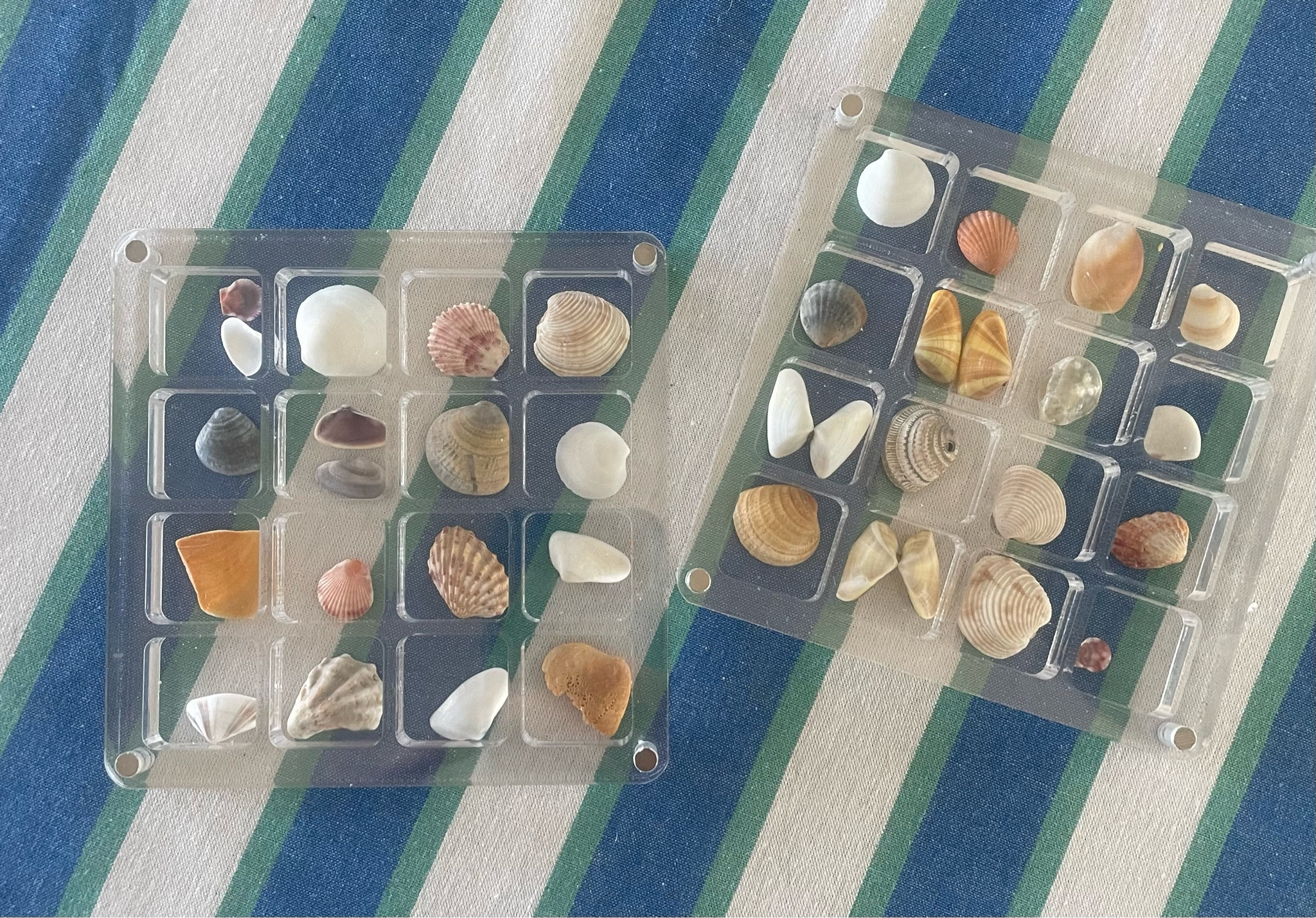 How fun are there!? Fun way to keep your collection of shells from your trips safe!