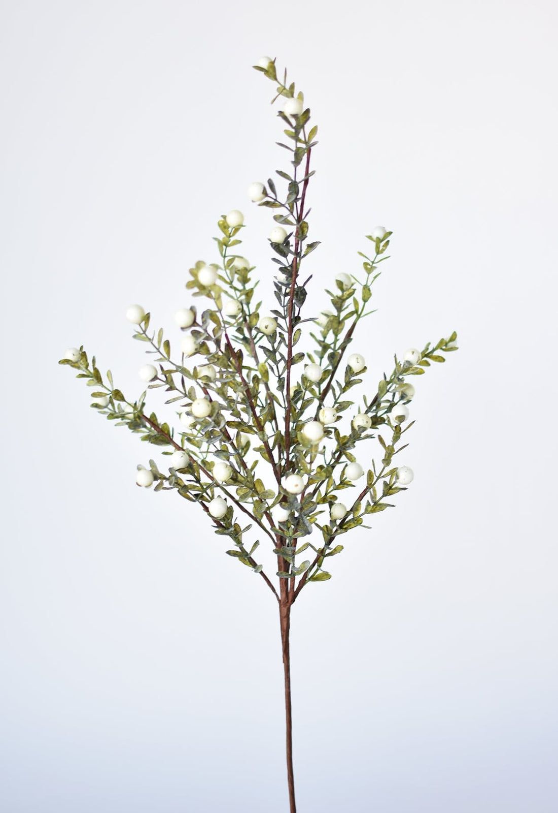 21” White Berry Boxwood Greenery Stem | HouseFloral
