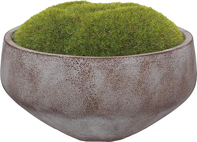 Artificial Moss Planted in a Concrete Bowl | Centerpiece | Home Décor | Hand-Painted | 7 ¾" Dia... | Amazon (US)