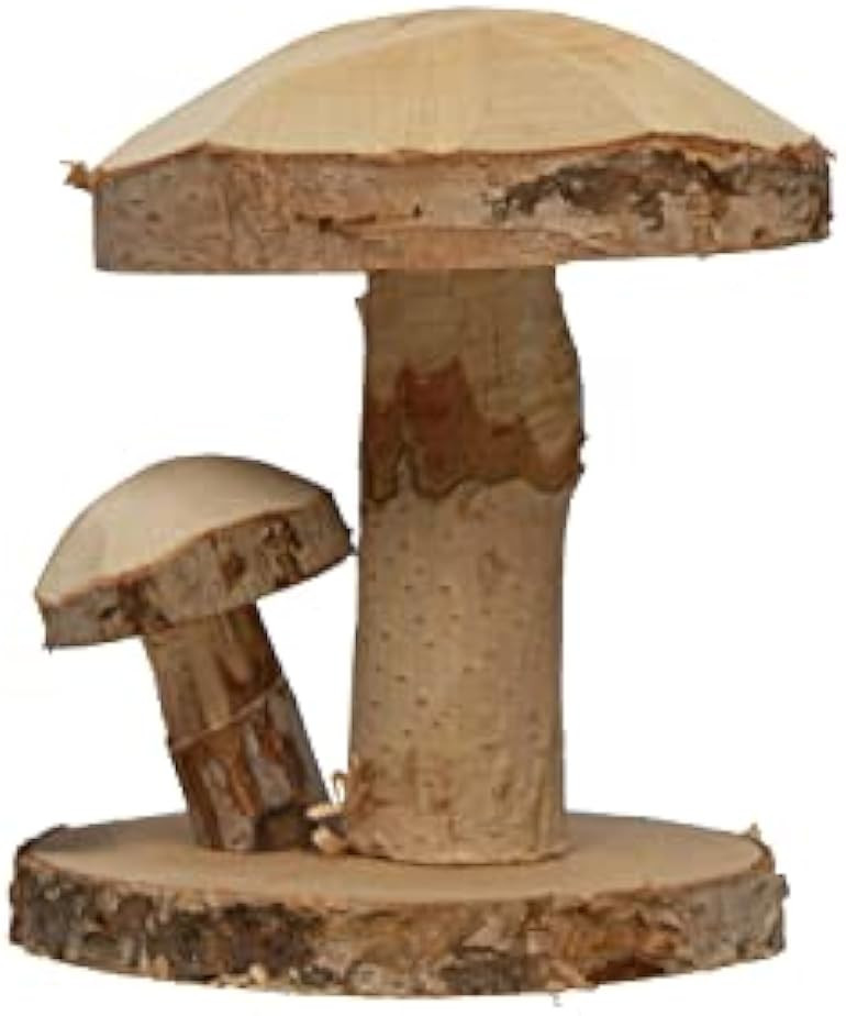Hand-Carved Decorative Oak Wood Mushrooms, Natural | Amazon (US)