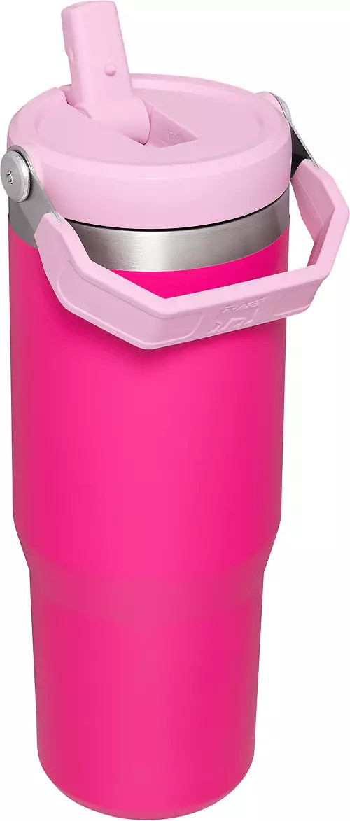 Stanley 30 Oz. IceFlow Tumbler with Flip Straw | Dick's Sporting Goods