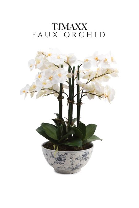 Beautiful large faux orchid arrangement 💗 I’ve seen it in person, looks realistic and great size for the price!  

White orchids artificial flowers fake orchids tjmaxx finds Homegoods Marshalls amazing home spring decor 

#LTKunder50 #LTKsalealert #LTKhome