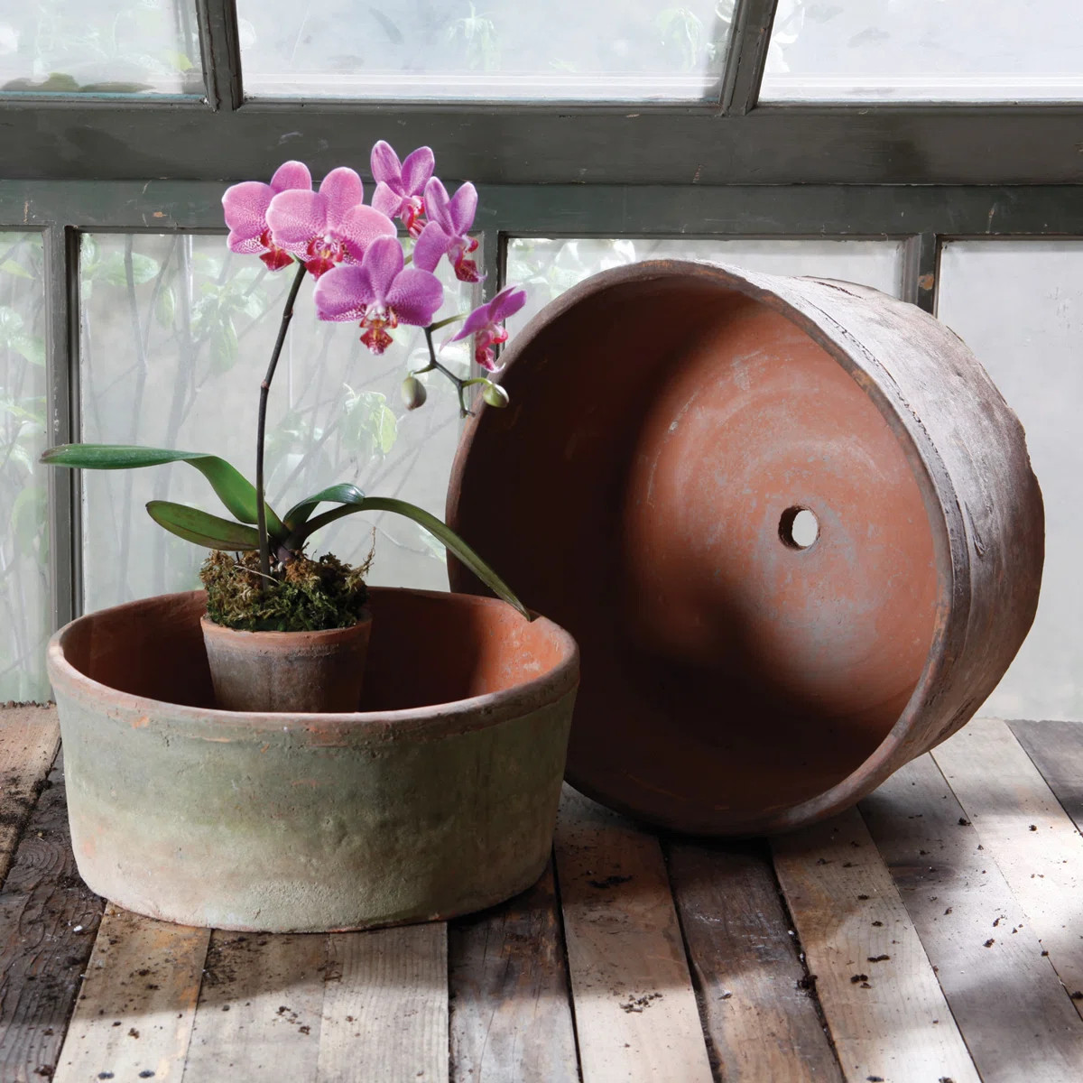Bromford Grande Rustic Terracotta Pots Planter Set | Wayfair North America