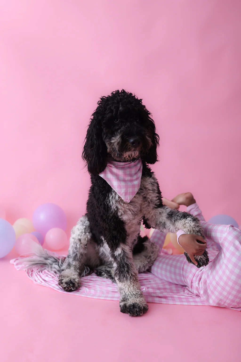 TAFFY PINK GINGHAM DREAM DOG BIB | DREAM BIG LITTLE CO