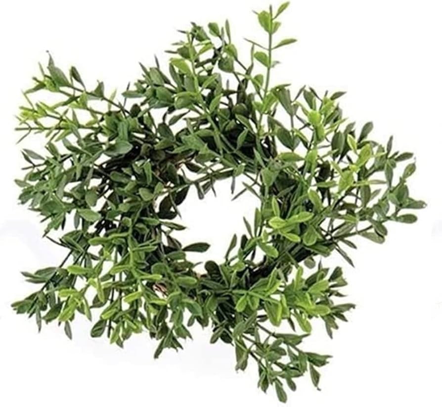 Boxwood Candle Ring | 2 inch Center | Greenery Wreath | 6 inch | Amazon (US)