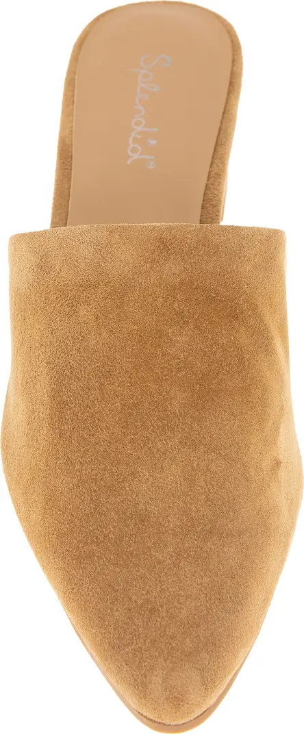 Splendid Lyn Suede Mule Heel (Women) | Nordstromrack | Nordstrom Rack