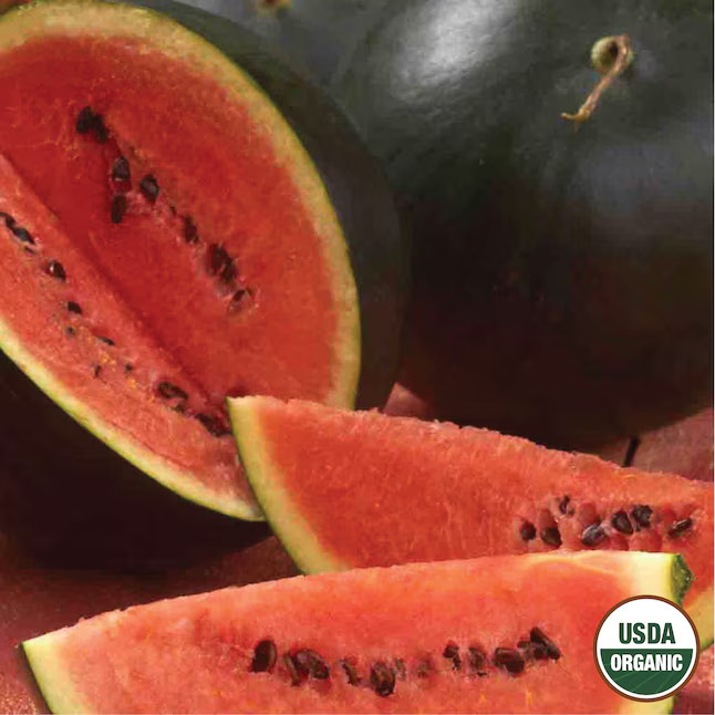 Ferry-Morse Organic Watermelon Seeds 1.9 Gram(s) Lowes.com | Lowe's