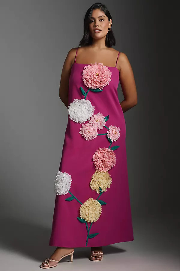 Buttercup Floral Appliqué Maxi Dress | Anthropologie (US)