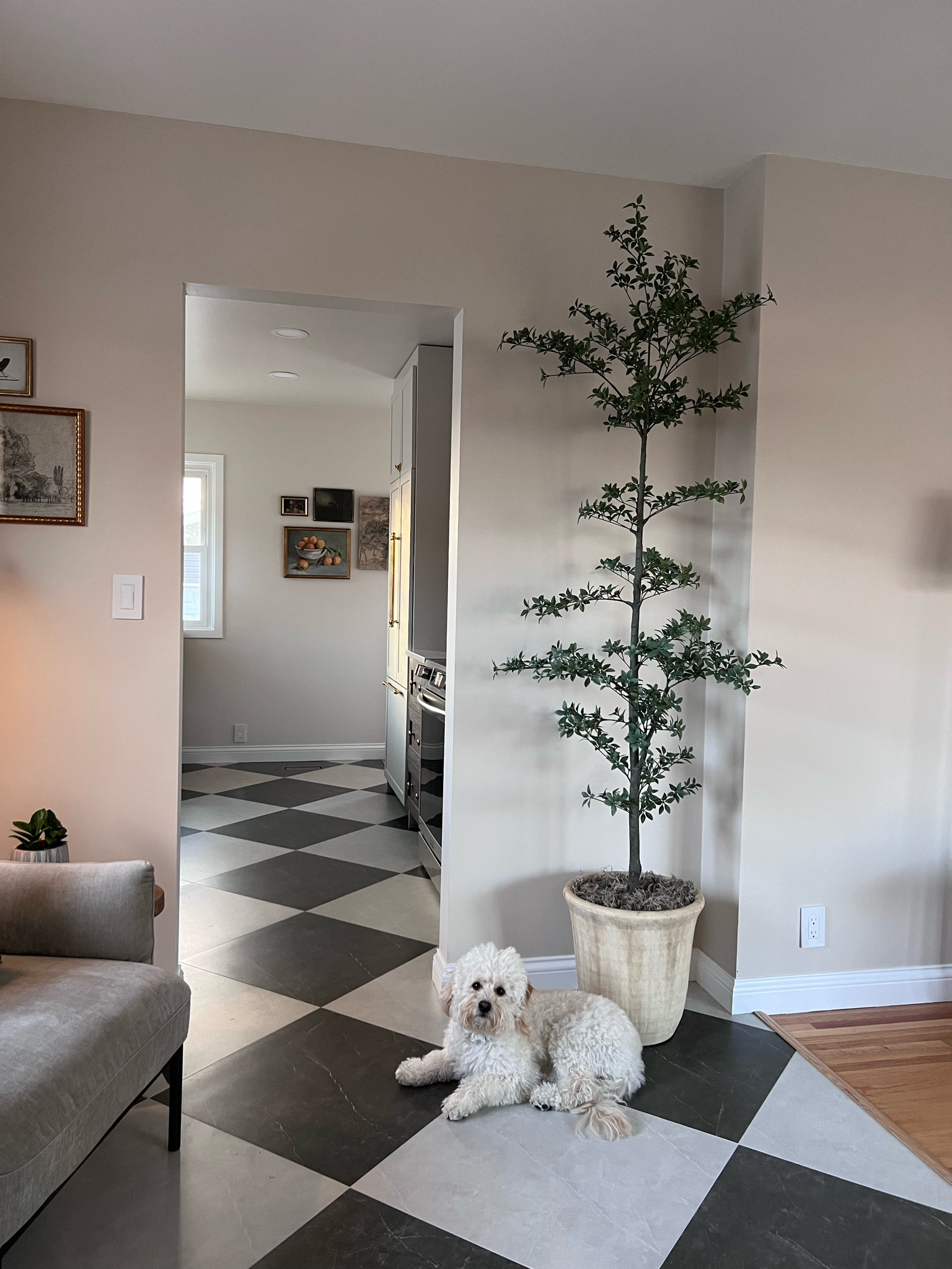 Pottery Barn faux black olive tree