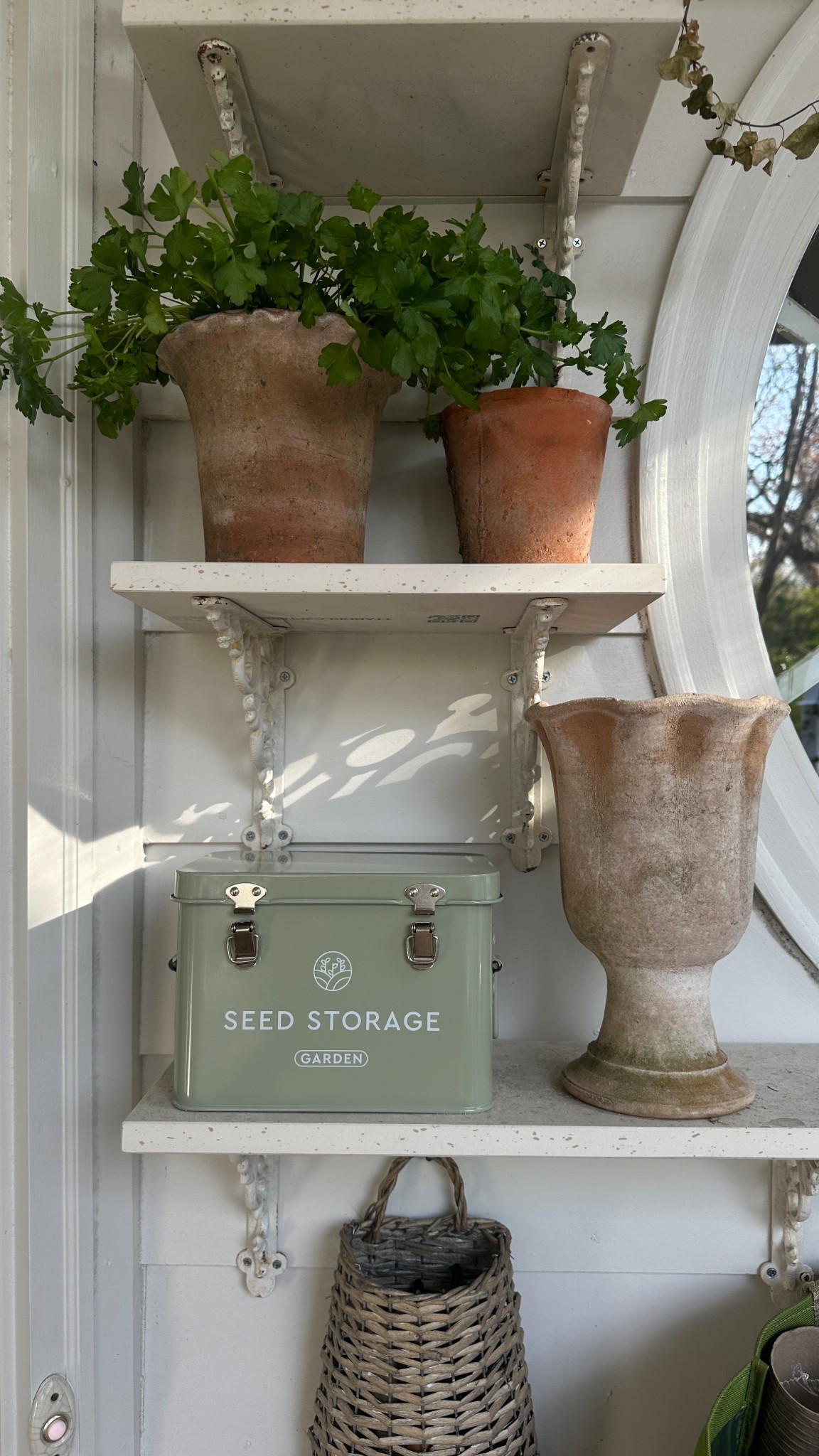 Garden Organization🪴 

#LTKSeasonal #LTKHome