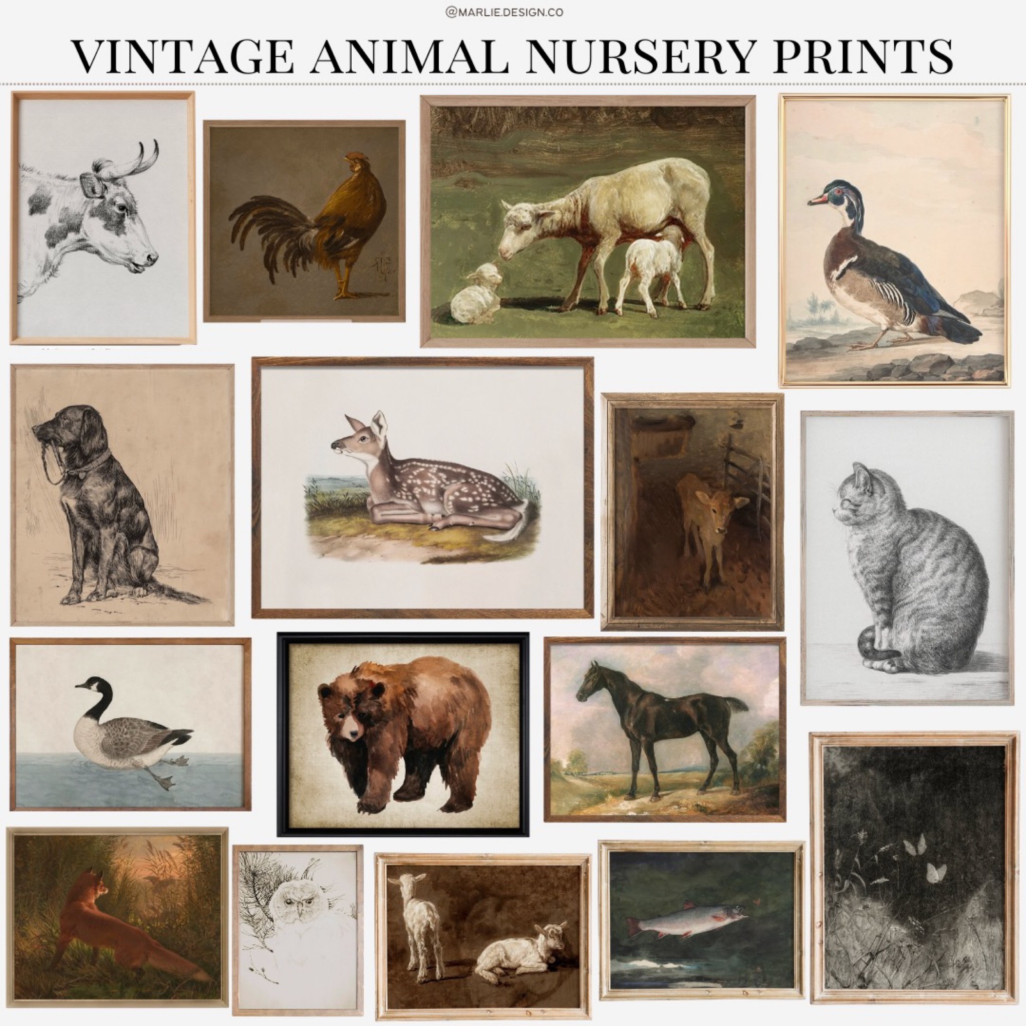 Vintage Animal Prints for Kids Bedroom or Nursery | kids bedroom art | nursery art | vintage kids art | vintage nursery art | dog art | cow art | horse art | fish art | butterfly art | bear art | cat art | lamb art | fox art | rooster art | goose art | duck art 

#LTKkids #LTKbaby #LTKhome
