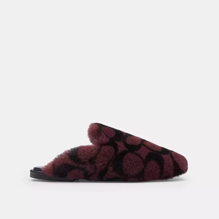 Slipper | Coach (US)