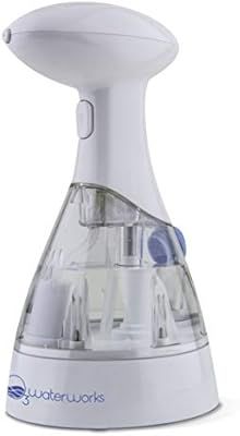 O3Waterworks Sanitizing Spray Bottle, Produces Aqueous Ozone on Demand, 99.9% Effective on Common... | Amazon (US)