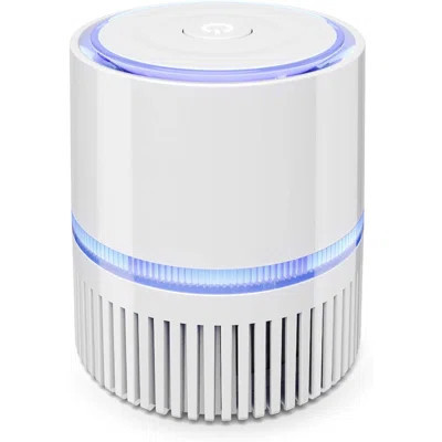 Small Air Purifier HEPA - Air Purifier With True HEPA Filter, 99.7% Smoke, Dust, Pollen, With Night Light And Negative Ion Generator - Desktop Air Pur | Wayfair North America