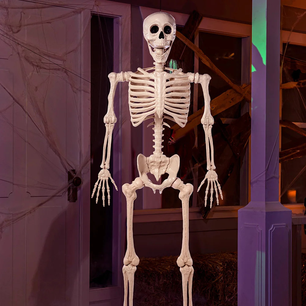 5.6 FT Halloween Posable Life Size Skeleton Full Body Realistic Bones with Movable Joints for Hal... | Wayfair North America