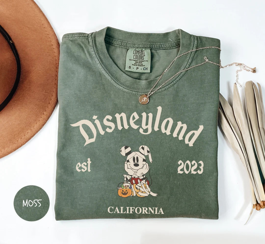 Magical Land Halloween Shirt, Comfort Colors Shirt, Halloween Shirt, Mickey and Friends Shirt, Di... | Etsy (US)