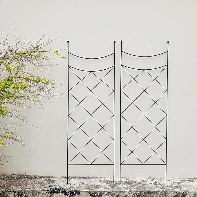 45.3" H x 15" W Metal Garden Trellis for Climbing Plants, Black Iron Trellis for Vines Plant Rose... | Amazon (US)