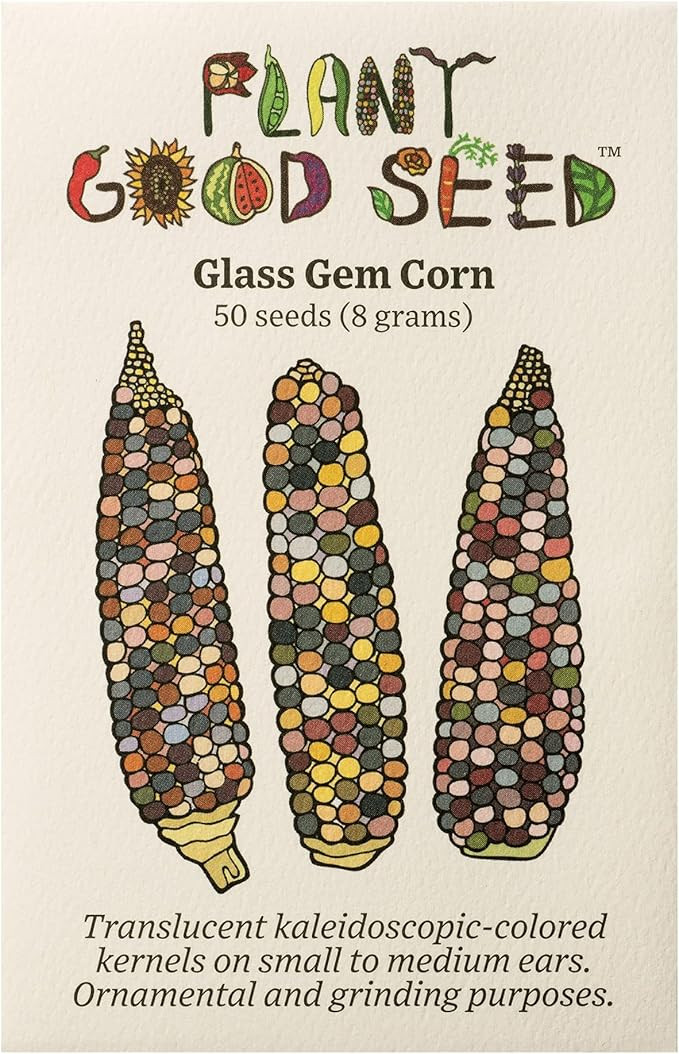 Plant Good Seed Organic Glass Gem Corn Seeds for Planting: Ornamental Rainbow Ears, Translucent K... | Amazon (US)