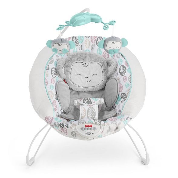 Fisher-Price Snugamonkey Deluxe Bouncer | Target