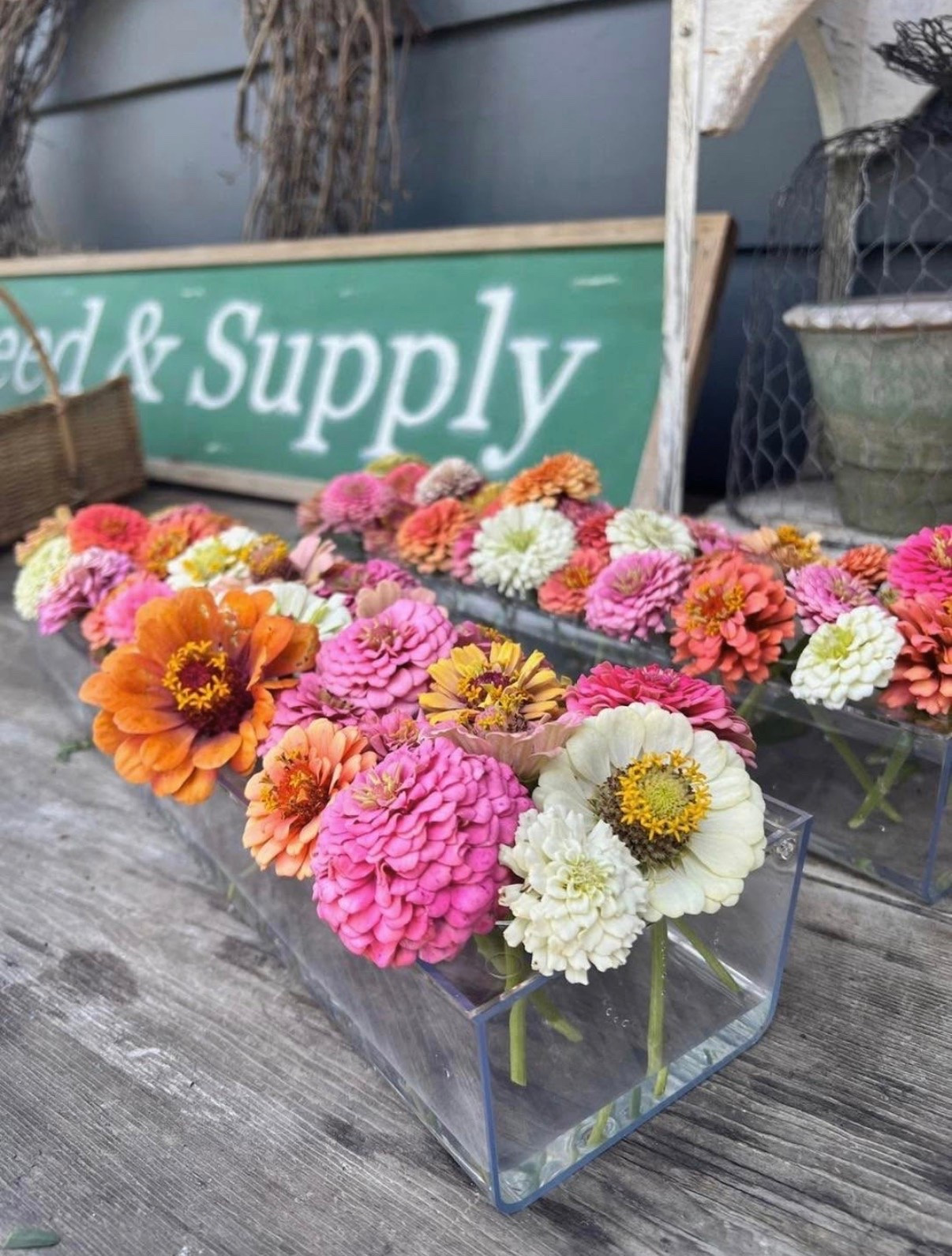 This kind of acrylic vase makes for such an easy and unique flower arrangement 🌸💖

#LTKSeasonal #LTKHome #LTKSaleAlert