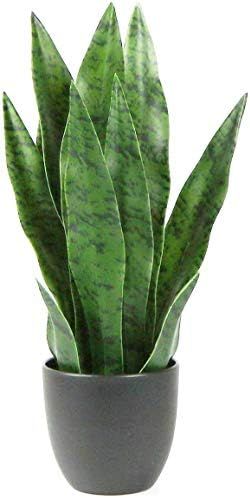 Artificial Snake Plant Faux Agave Fake Sansevieria Artificial Potted Plants for Indoor and Outdoo... | Amazon (US)