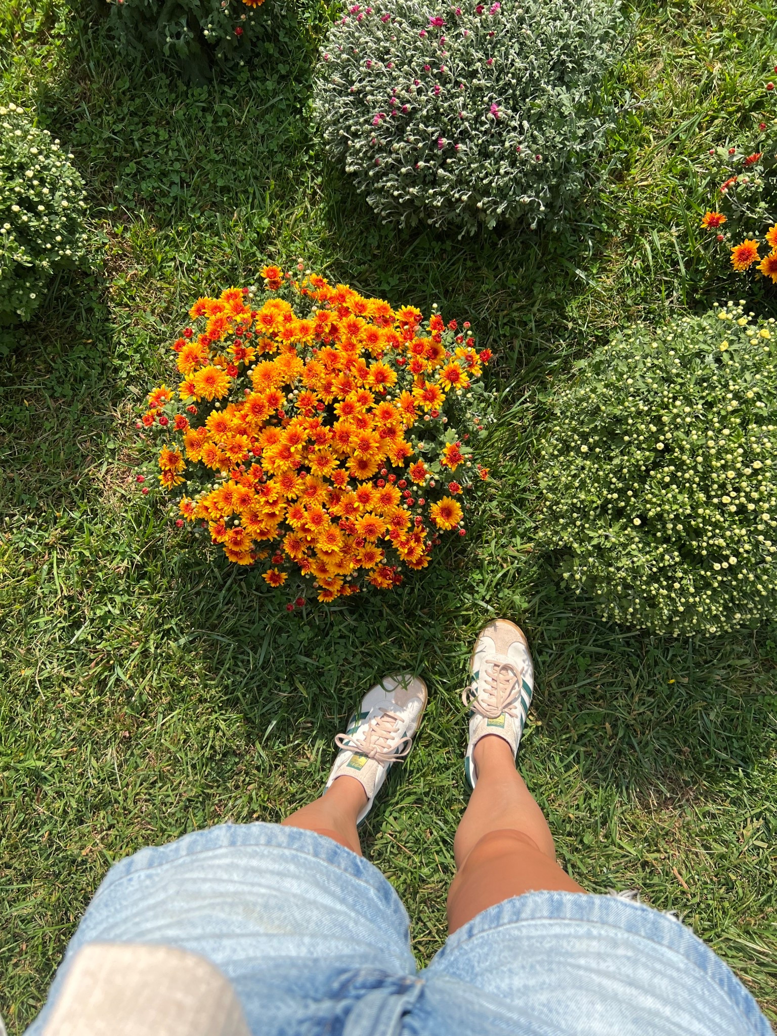 The best sneakers from adidas and I’m not gatekeeping. The adidas gazelle bold sneakers. I promise the platform isn’t intimidating- it’s so comfortable 