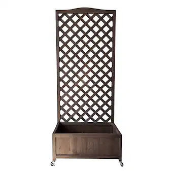 Style Selections 30-in W x 72-in H Walnut Brown Cedar Garden Trellis For Climbing Plants For Cucu... | Lowe's