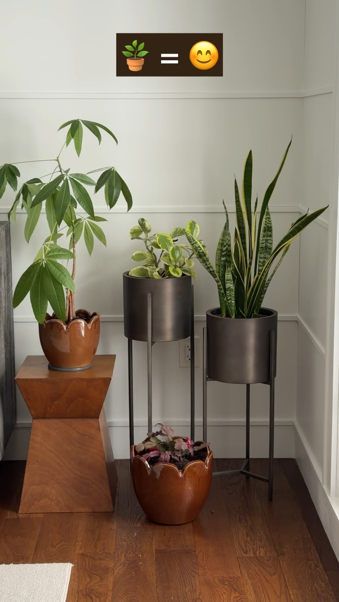 This little plant corner brings me so much joy, especially in the winter months. A mix of sculptural planters and easy, happy greenery instantly brightens the space and adds warmth when everything outside feels gray.

Design tip: layering plants at different heights creates visual interest and makes even the smallest corner feel intentional and alive. 🌿✨

#LTKHome #LTKselfcare #LTKSeasonal