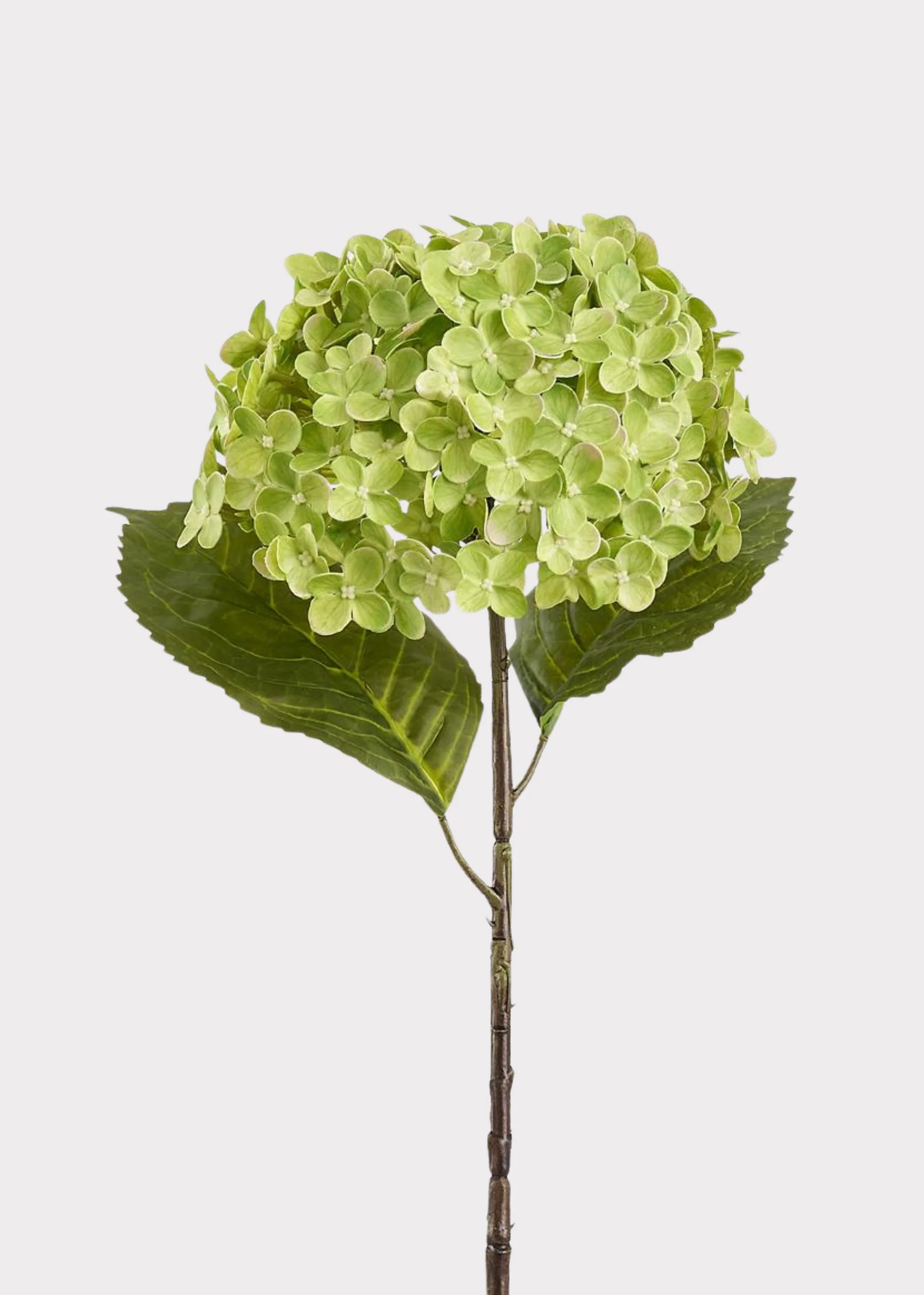 Artificial Hydrangea Flower in Green - 24.5 | Afloral