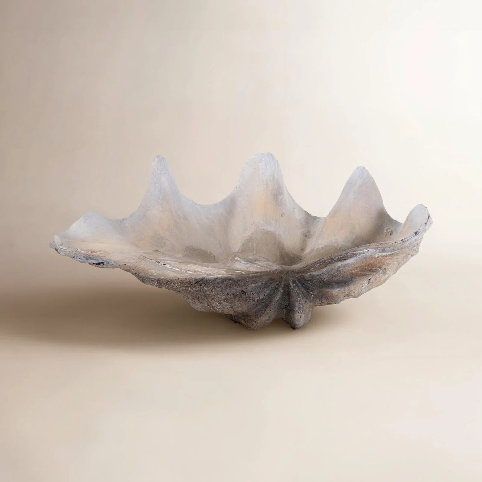 Large Vongole | Birch Lane