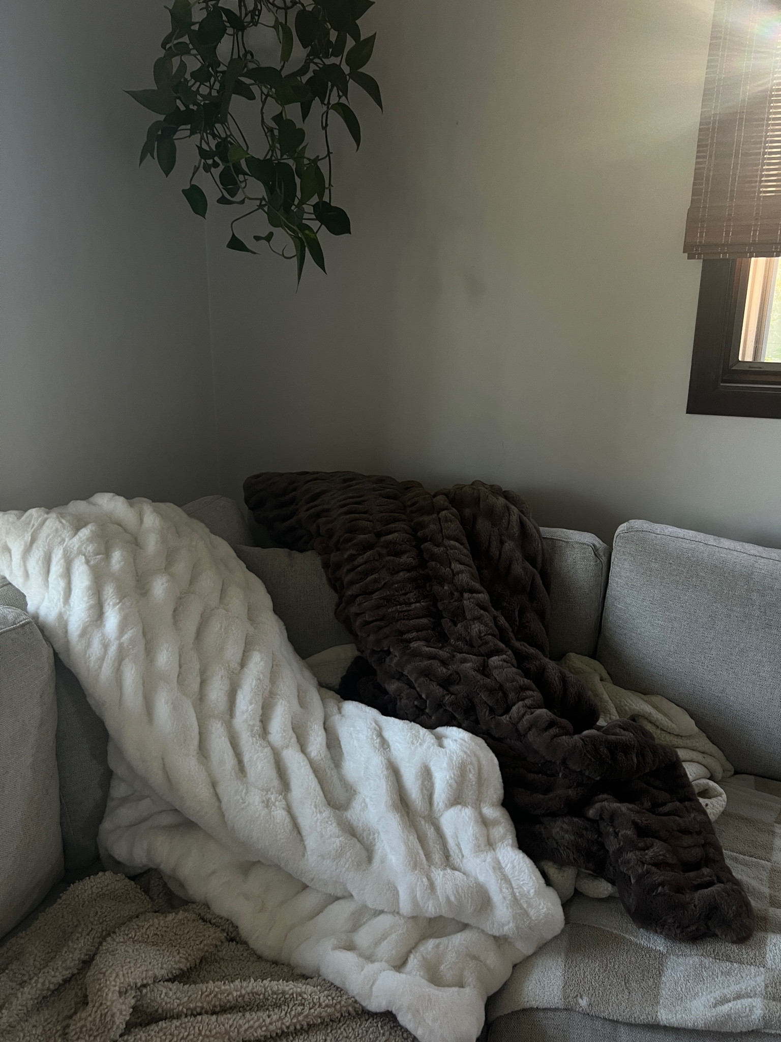 Coziest throw blankets 

#LTKHome #LTKSeasonal