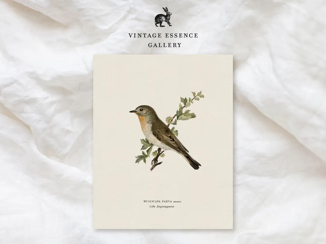 Vintage Bird Illustration | Spring Cottagecore Nature Print | Minimalist Soft Neutral Wall Art | ... | Etsy (US)