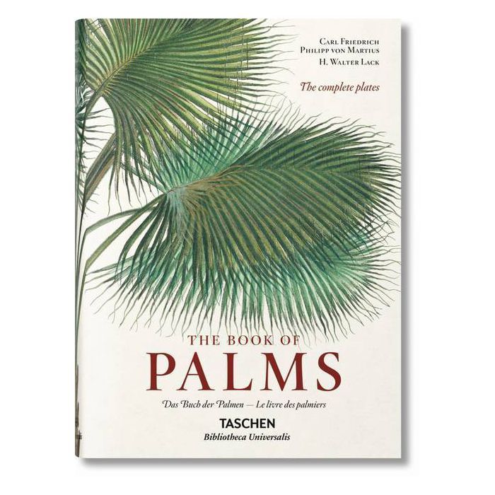 Von Martius. the Book of Palms - (Bibliotheca Universalis) by  H Walter Lack (Hardcover) | Target
