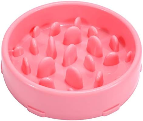 KASBAH Slow Feeder Dog Bowl, Anti-Gulping Maze Dog Food Bowl Bloat Stop Dog Food and Water Bowl N... | Amazon (US)