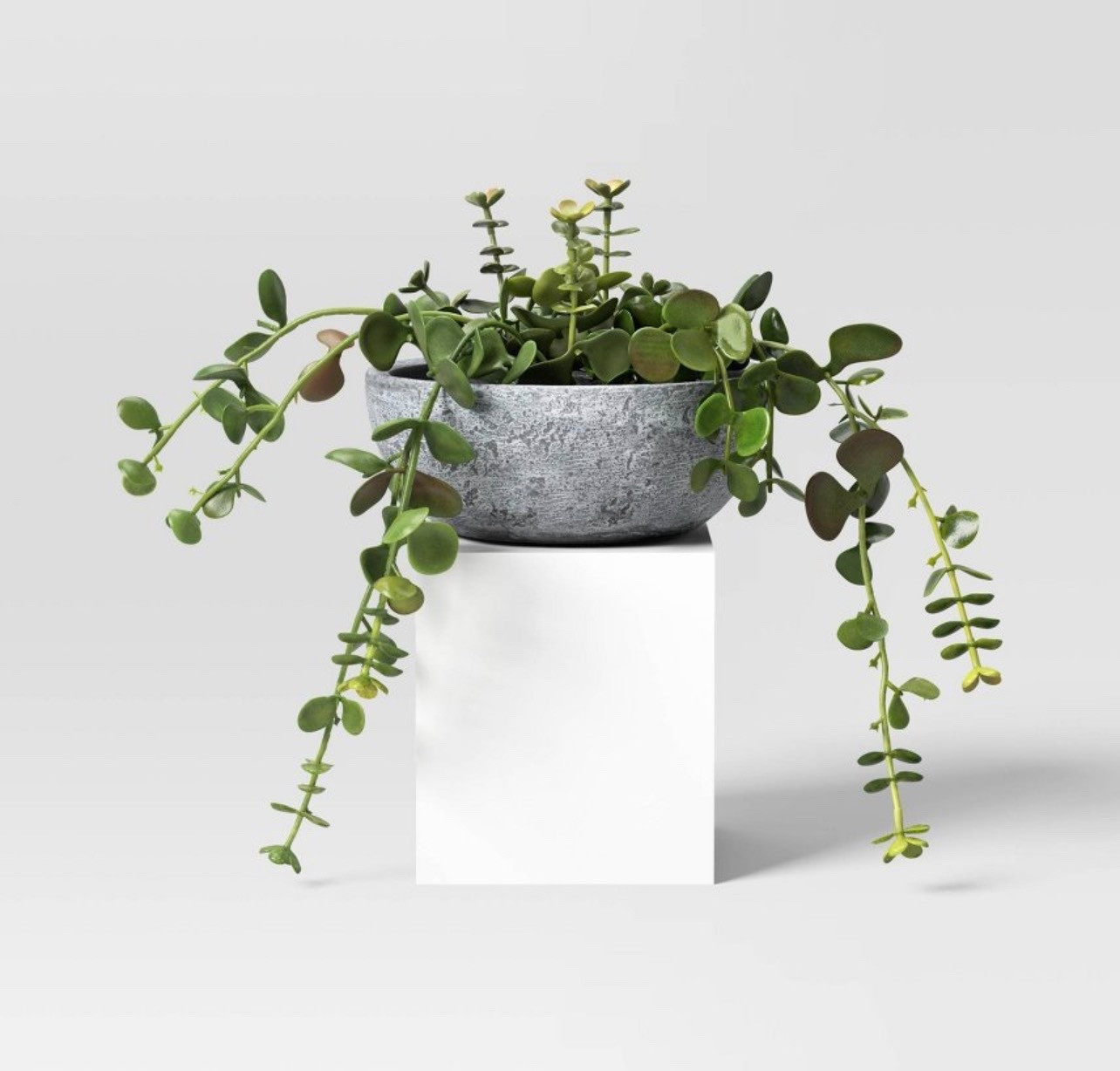 Studio McGee 
Artificial trailing plant 

#LTKHome #LTKmomlife