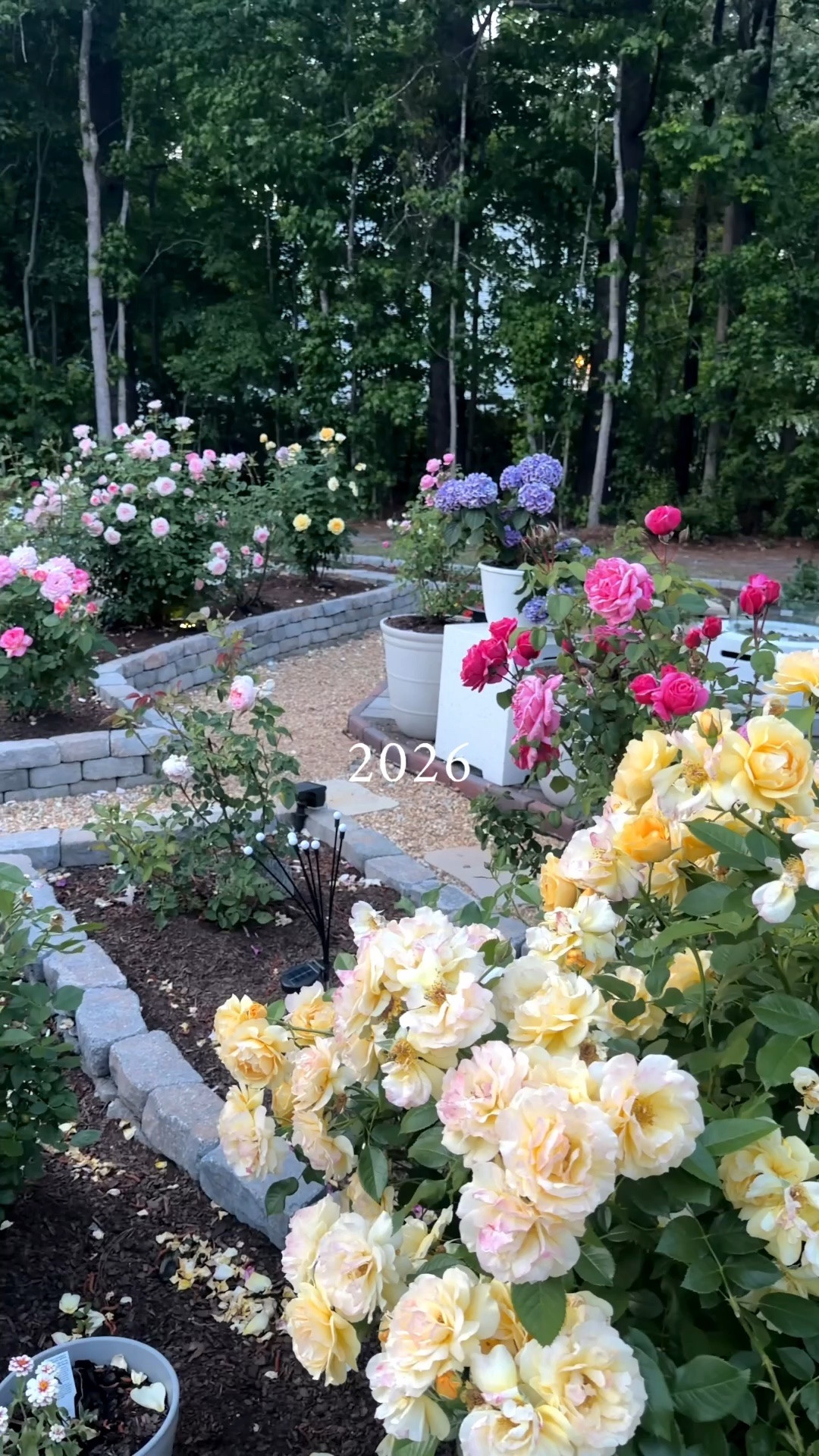 Garden before and after