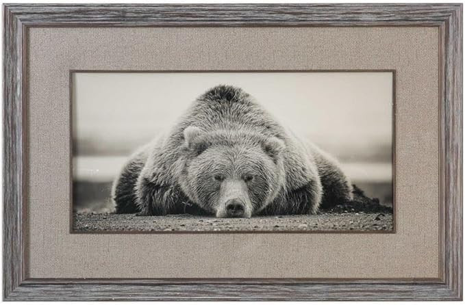 Deep Sleep 50" W Grizzly Photo Framed Wall Art Print | Amazon (US)