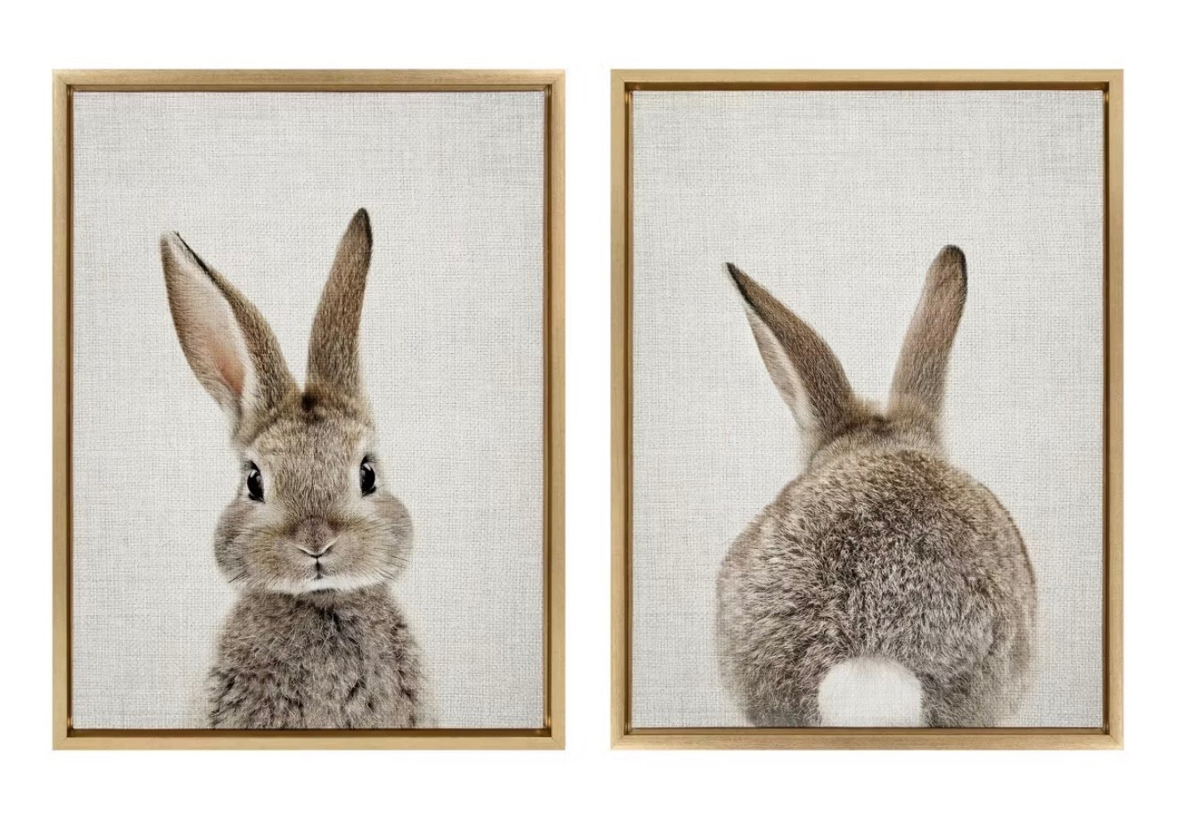 Set of 2 18" x 24" Sylvie Bunny Portrait And Tail Framed Canvas Set Gold - Kate & Laurel All Things Decor: Contemporary Animal Art

#LTKKids #LTKBaby #LTKHome