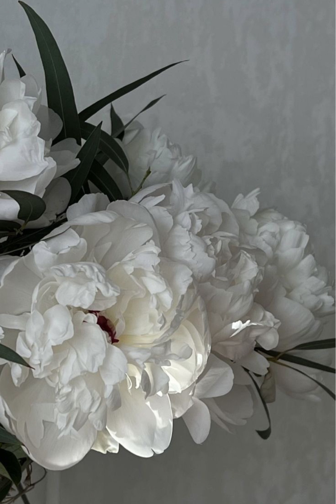 mothers day gifts
mothers day gift gifts
mothers day
mothers day dress
mother of the bride dress
mother of the bride 
memorial day outfit
Memorial Day
spring
spring dress
spring outfits

#LTKGiftGuide #LTKfindsunder100 #LTKSeasonal