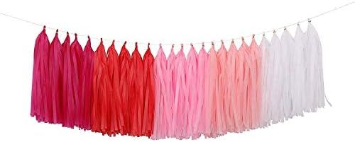 Fonder Mols 25pcs Pink Ombre Tassel Garland DIY Kit- Balloon Tail - Banner - Pink Birthday - Pink... | Amazon (US)