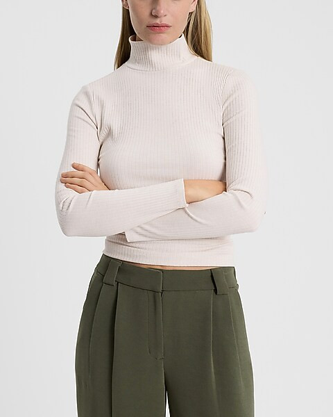 Ribbed Long Sleeve Mock Neck Tee | Express