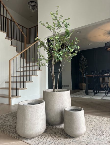 These planters are EVERYTHING! I love how they look in my living and dining room!

Planters/faux plant

#LTKhome #LTKstyletip #LTKU