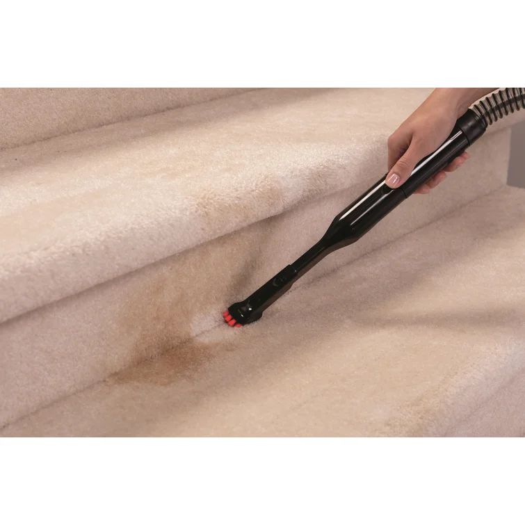 Bissell Little Green Proheat Portable Carpet Cleaner | Wayfair North America