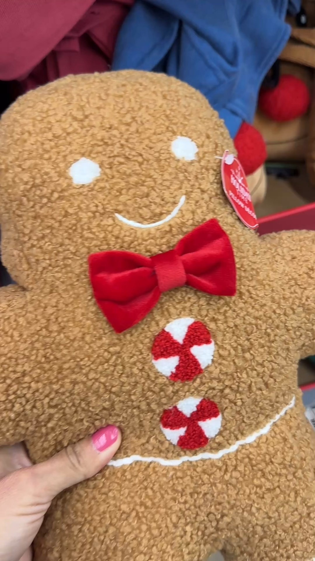 Decorative Christmas pillows 

#LTKHoliday #LTKHome