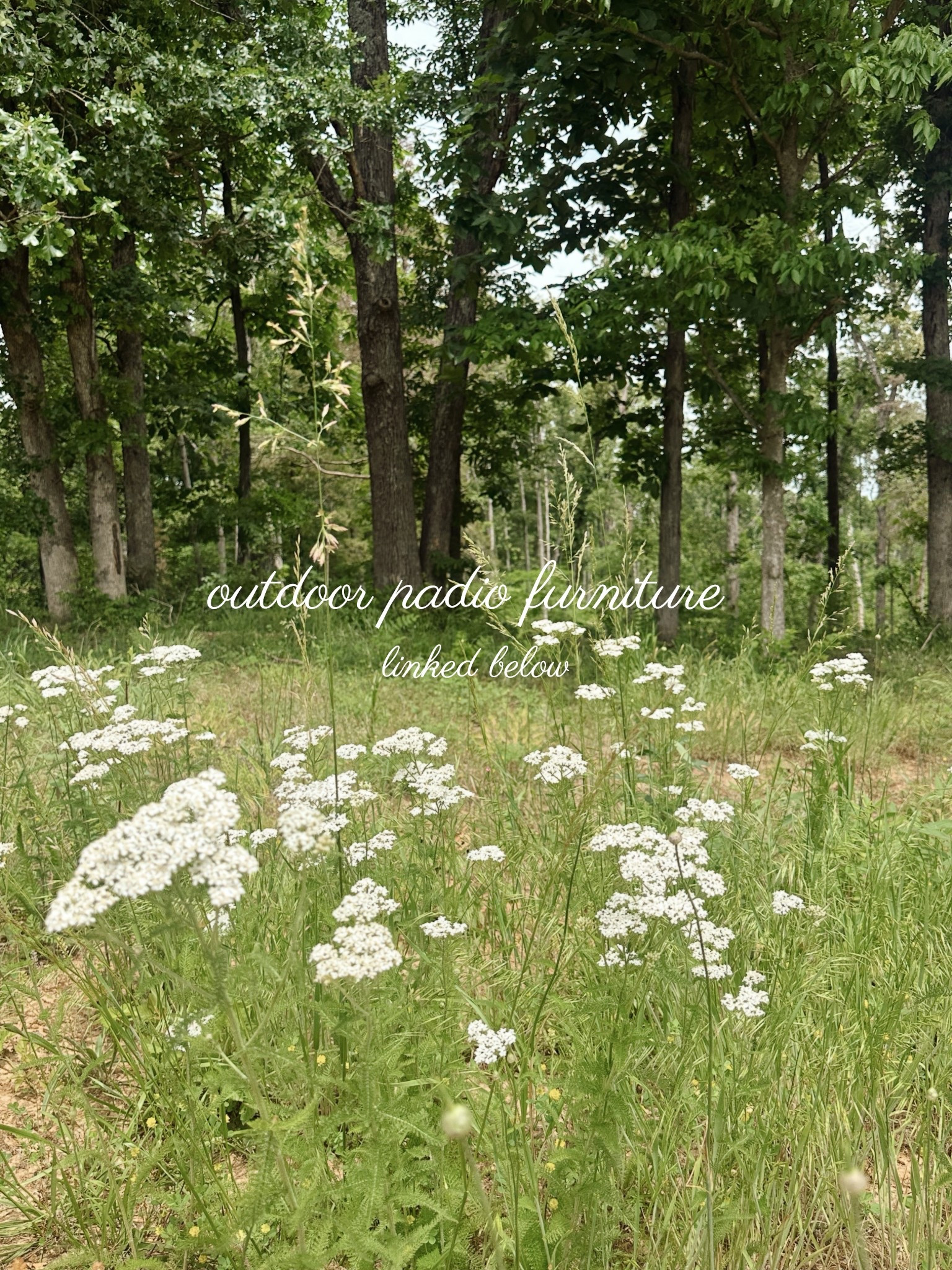 linking some outdoor padio furniture, front porch furniture, front door decor, front door seating, padio furniture, covered back padio, planters, outdoor home decor, front porch seating 

our new build will have a front porch + a back padio! Eyeing some things from @Wayfair for those spaces 😍

#LTKdayinmylife #LTKU #LTKHome