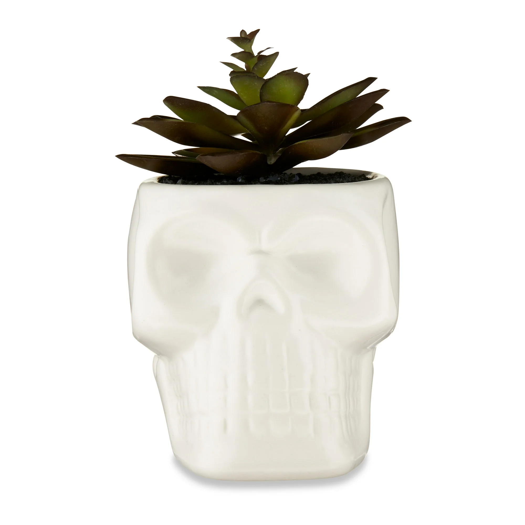 Halloween White Ceramic Skull with Faux Succulent Decoration, 4 in x 5 in x 5.75 in, by Way To Ce... | Walmart (US)