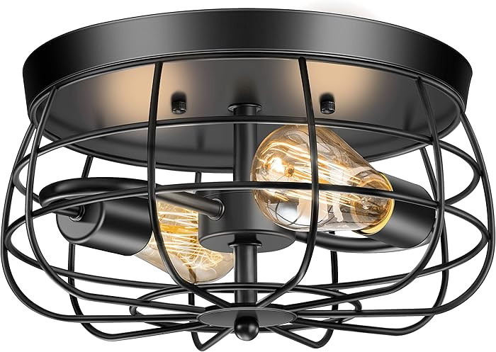 2-Light Farmhouse Ceiling Light Fixtures, Industrial Hallway Light, Vintage Black Metal Cage Ceil... | Amazon (US)
