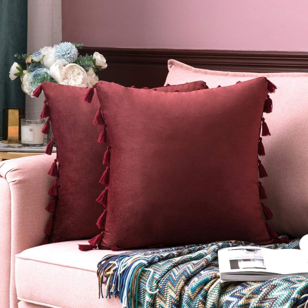 MIULEE Pack of 2 Velvet Soft Solid Decorative Throw Pillow Cover with Tassels Fringe Boho Accent ... | Amazon (US)