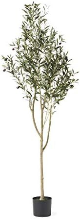 Christopher Knight Home 313747 Artificial Plants, 6' x 2', Green | Amazon (US)