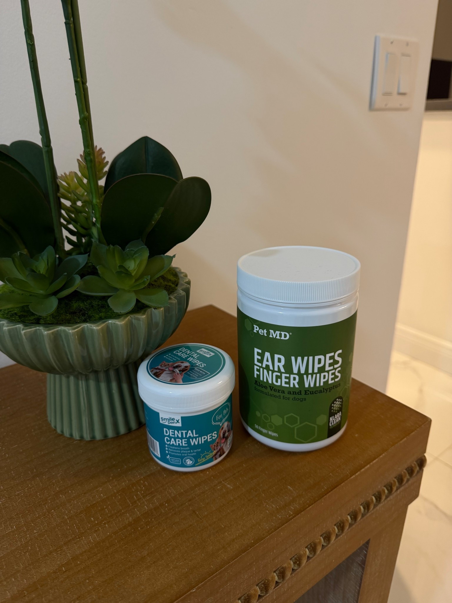 #ltkdogs #ltkpets 

#LTKselfcare #LTKdayinmylife #LTKSpringSale